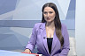 Саратовцы в августе смогут поохотиться на волка и шакала